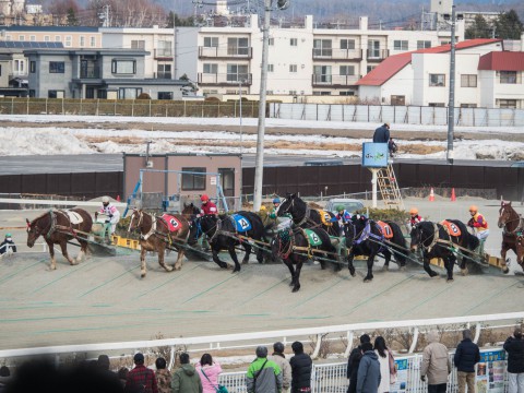 帯広のお正月は・・”インデアンカレー”を食べて”ばんえい競馬”へ