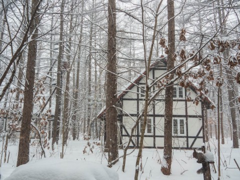 ついに雪のスイッチが入ったかな?ひさびさの”雪リス”