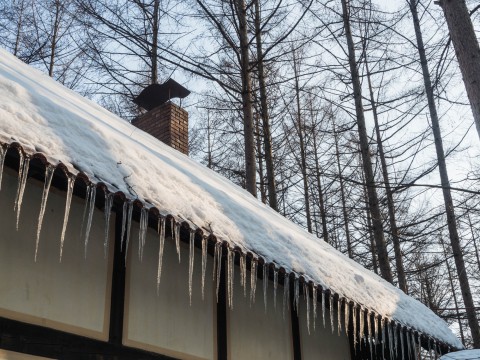 2月なのに・・春の陽気?森の仲間が集まってきました。