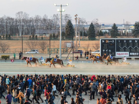 ”帯広競馬場”盛り上がっていました!「第51回ばんえい記念」