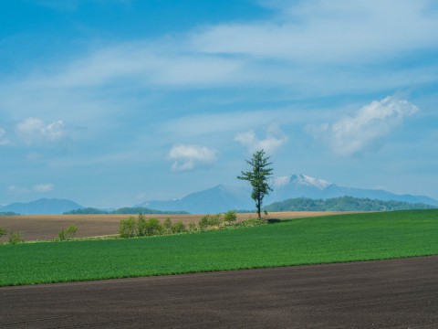 5月お気に入りの風景~残雪の日高山脈と新緑の丘陵地~