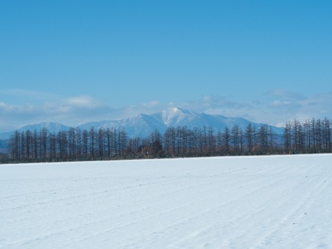 師走の中札内村の農村風景・・今年はちょっと雪が少ない?