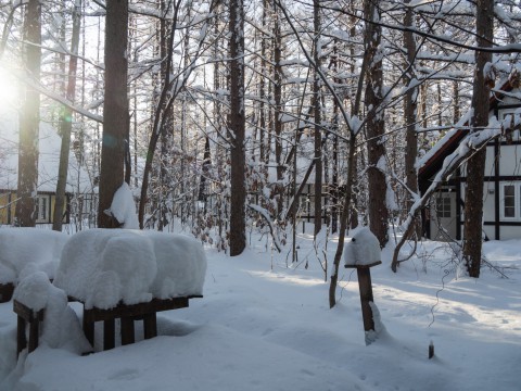 昨日もまた雪・・ついに例年並みの積雪量になりました。