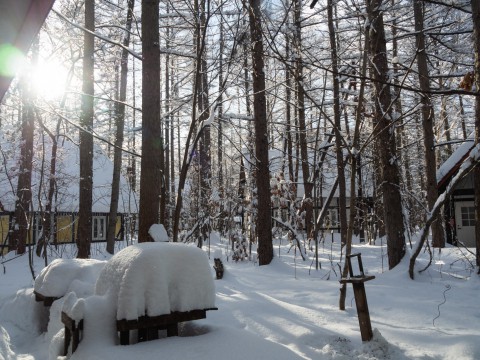 今季最大の積雪量に・・結局、冬に降る雪の量は同じ?