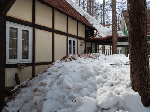 今年はじめての10℃越え、屋根の雪も轟音と共に落ちました!