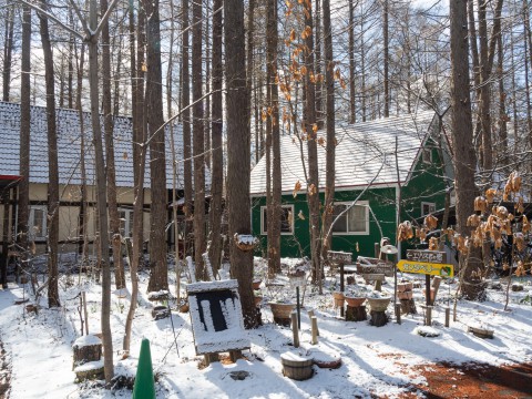 もうすぐG.W.なのに・・外は雪景色、エゾリス君もビックリ!