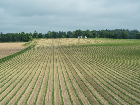 梅雨が無い?6月の北海道、さわやかな中札内村の農村風景!