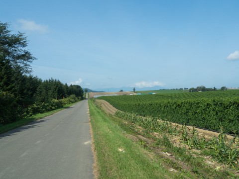 何気ない中札内村の農村風景にも・・秋を感じますね!