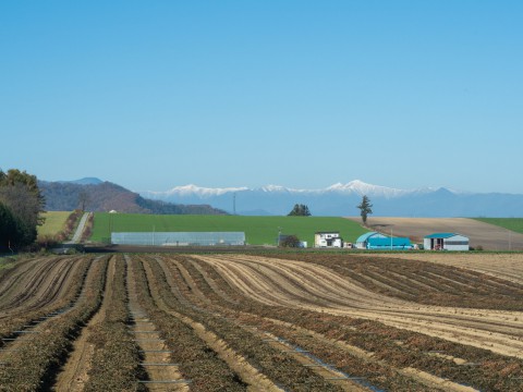 日高山脈には雪、カラマツの紅葉も見ごろになっています!