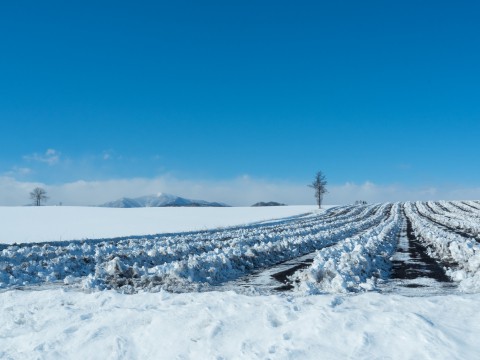 2月厳冬期の中札内村、雪が掘り起こされた畑と十勝幌尻岳