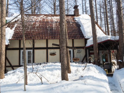 春を思わせる陽気で、ついに屋根の雪が落ちました。