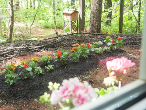 10年振りのスズランとウッドデッキの上の新しい花壇。
