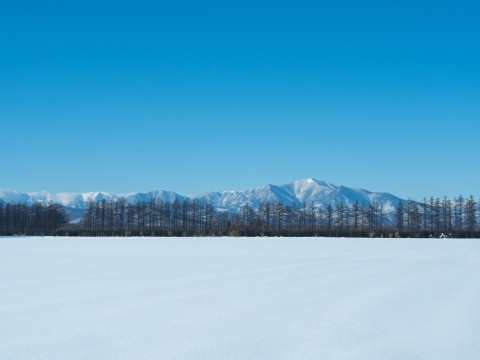 穏やかな大晦日!お陰様で今年も無事に年が越せそうですね!