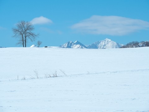厳寒期の中札内村・雪の丘から頭を出す”日高山脈”