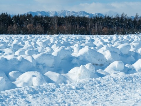 雪を掘り起こした畑が・・ちょっと”アート”っぽくないですか?