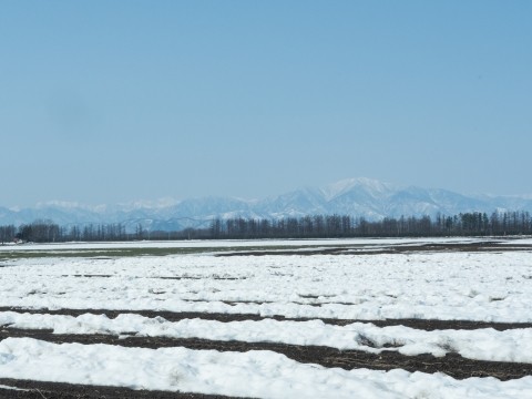 春のホカポカ陽気で、雪どけが進む中札内村の農村風景。