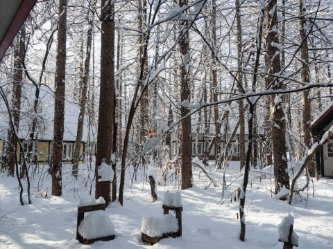 昨夜ひと晩で40センチ以上の積雪。いきなり冬に逆戻り?