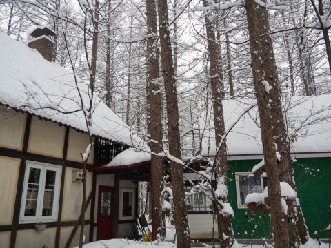 中札内村は雪降る大晦日になりました。良いお年を・・!