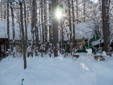 久し振りの大雪!中札内村は半日で50cm以上の積雪に・・