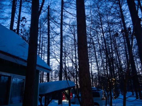 日が長くなってきた3月中旬、夕暮れ時の光景が美しいですね!