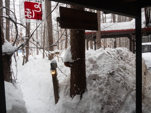 まだまだ雪降る3月、屋根からの落雪にエゾリス君ビックリ!