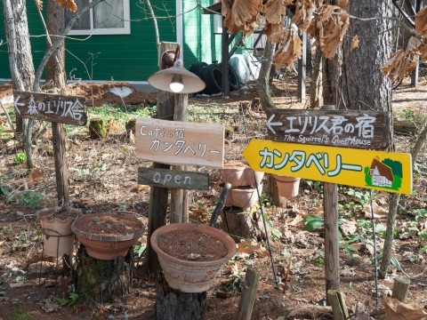 約17年前の開業当初からある看板をリニューアルしました!