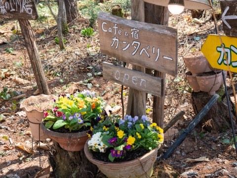 いよいよG.W.がスタート、今年も看板沿いに寄せ植えをしてみました。