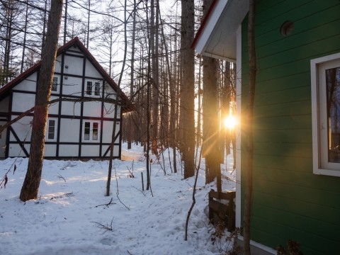 エゾリス君もやって来る穏やかな大晦日!良いお年を・・!