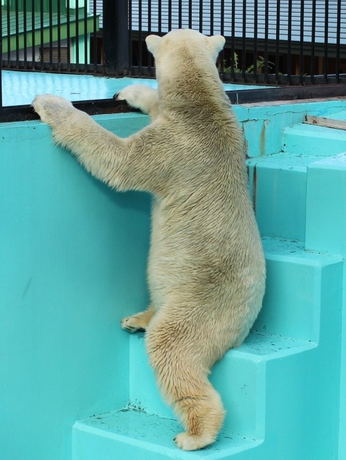 10月1日 イコロ骨っこといっしょ