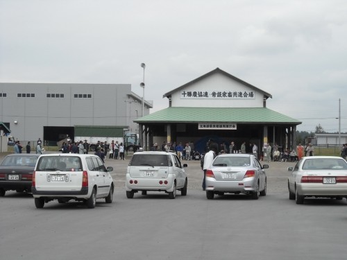 優良種雄馬展示会