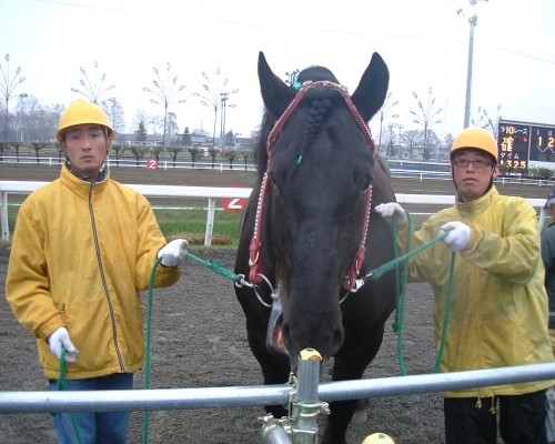 オッズパーク杯予想09
