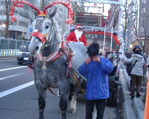 札幌大通公園の銀太