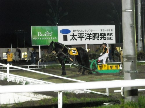 柏林賞予想'09