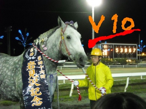 ナナカマド賞予想'10