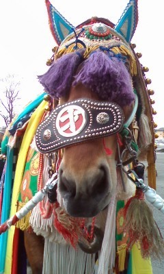 ばんえい競馬本日開幕！