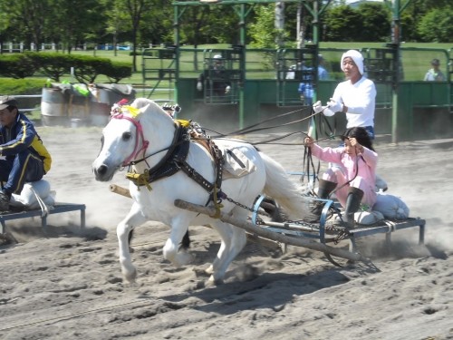 鹿追草競馬！