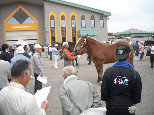 今、共進会がアツイ! その1