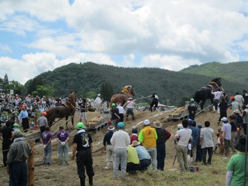 遠野馬力大会