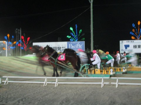 ばんえい 競馬 予想