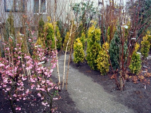 春なんですが、、、