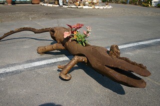 ニワニワニ？！