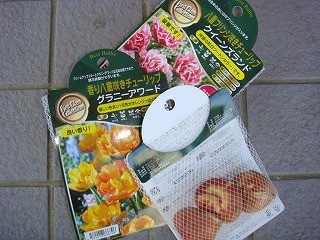 【ゲスネリア】