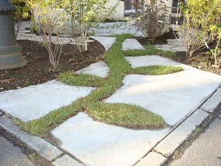 いとしさと切なさとこれからの芝管理と