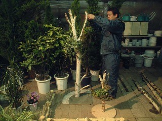 知っておきたいリサイクル活用法　改訂版