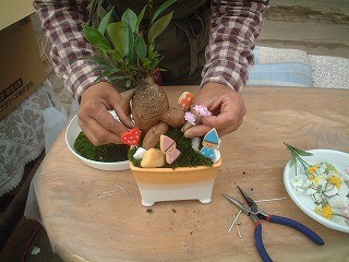 成功脳を刺激するマン盆栽