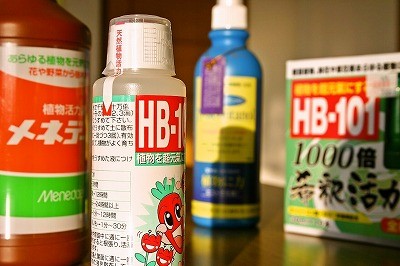 結論：祝日は楽しい