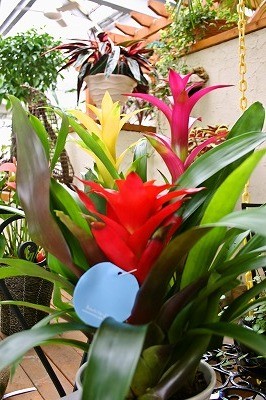 現代のホワイトデー最前線