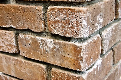 おしろいつけたの？そのレンガ？？