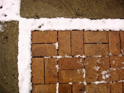 転ばぬ先のホウキ目