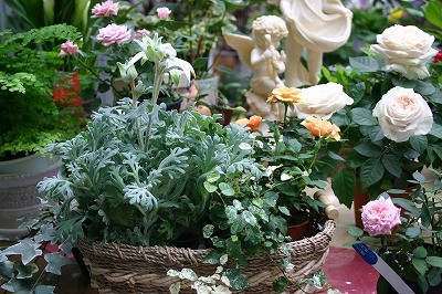 まだ間にあう母の日のプレゼント～何がいいかな